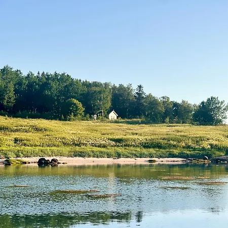 Remote Island Retreat In Norwegian Fjords Forstranda