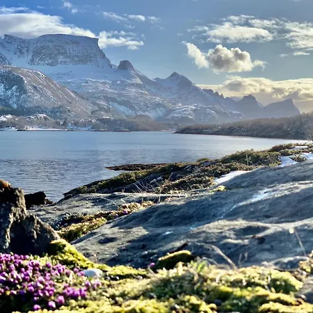 Remote Island Retreat In Norwegian Fjords *