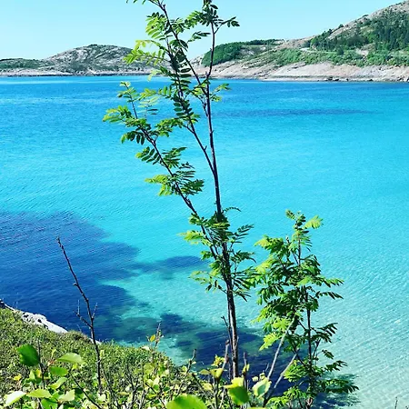 Remote Island Retreat In Norwegian Fjords Alpstuga Forstranda