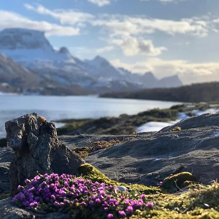 Remote Island Retreat In Norwegian Fjords Forstranda